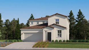 Pamplona - Gossamer Grove - Valencia Series: Shafter, California - Lennar