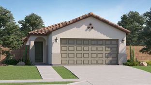 Lily Plan 2566 - Anderson Farms - Premier: Maricopa, Arizona - Lennar