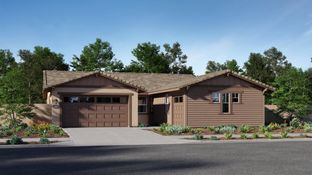 Residence One - The Groves - Gold Crest: Loma Linda, California - Lennar