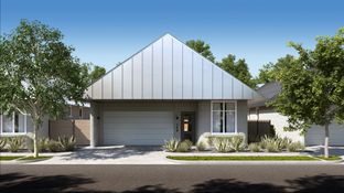 Ezra - Wolf Ranch - Genesis Collection: Georgetown, Texas - Lennar
