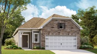 Chiffon - Elizabeth - Orchards: Fort Mill, North Carolina - Lennar