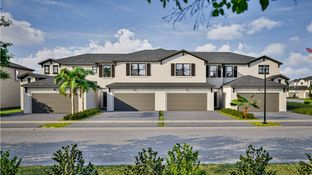 Holly - Dania Preserve: Dania Beach, Florida - Lennar