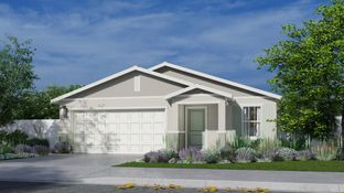 Residence 1691 - Calabria at Vineyard Parke: Sacramento, California - Lennar