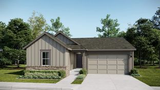 Hartford - Percheron - The Camden Collection: Colorado Springs, Colorado - Lennar