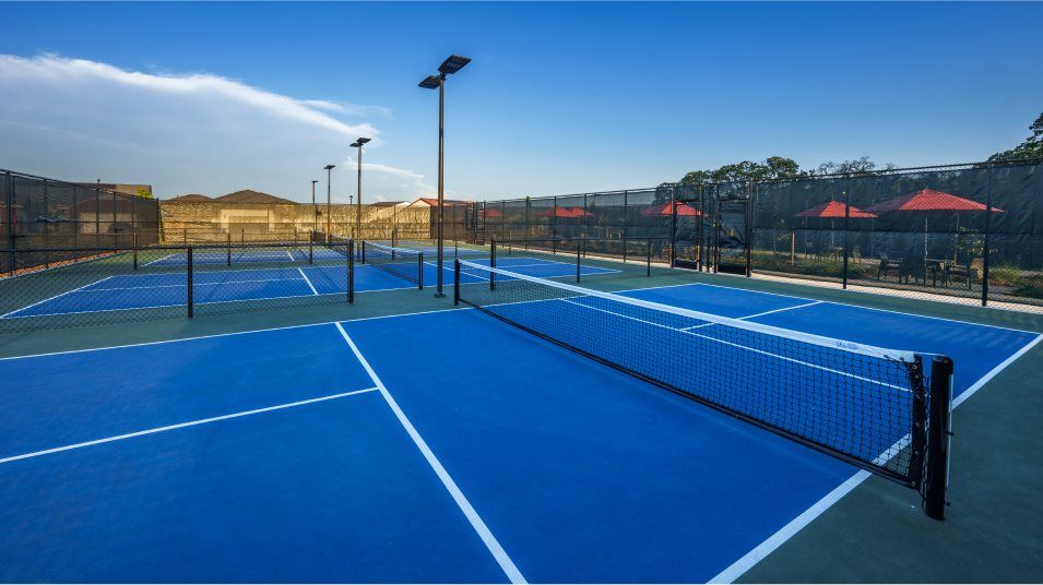 Blue and green pickle ball court