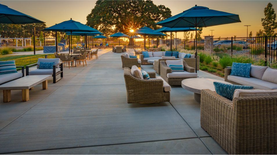 Heritage Placer Vineyard picnic area lounge amenity