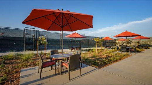 Heritage Placer Vineyards sports court picnic area