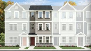 Manteo II - Carolina Springs - Capitol Collection: Apex, North Carolina - Lennar