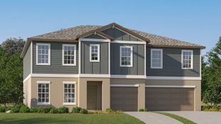 Olympia - Balm Grove - The Executives: Wimauma, Florida - Lennar