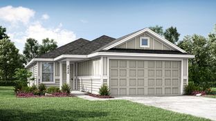 Red Oak II - Shale Creek - Cottage Collection: Justin, Texas - Lennar