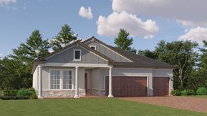 16969 Falling Waters Ct (Daybreak II)