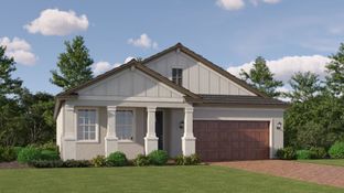 Dawning II - Angeline Active Adult - Active Adult Manors: Land O' Lakes, Florida - Lennar