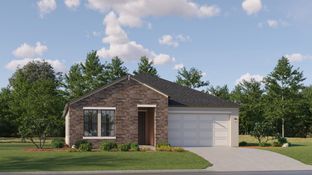 Augusta - Pearl Estates: Lutz, Florida - Lennar