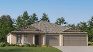 Phoenix - Prosperity Lakes - The Executives: Parrish, Florida - Lennar