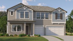 Stonegate Preserve - The Executives - Palmetto, FL