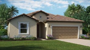 3793 Passion Vine Dr (Marsala)
