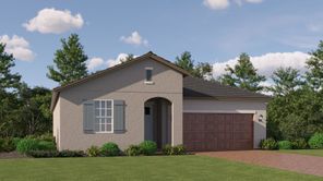 31927 Griffin Sands Ln (Dawning II)