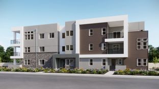 Amaris 7 - Great Park Neighborhoods - Amaris at Luna Park: Irvine, California - Lennar