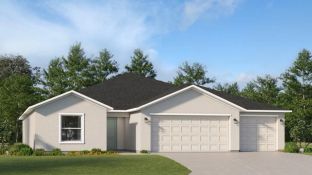 Bravo - South Creek - The Executives: Riverview, Florida - Lennar