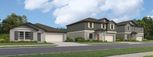 Angeline - The Estates - Land O' Lakes, FL