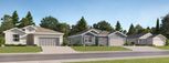 Rye Ranch - Americana Series - Parrish, FL