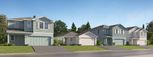 Rye Ranch - Americana Series - Parrish, FL