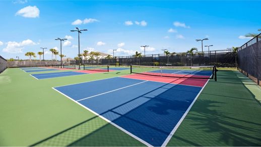 The National Amenity Pickle Ball 05 24 24