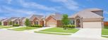 Bellflower - Classic Collection - Oklahoma City, OK