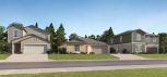 Angeline - The Manors - Land O' Lakes, FL