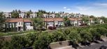 Sycamore Heights - Woodland - Rancho Cucamonga, CA