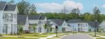 Limehouse Farms - Townhomes - Summerville, SC