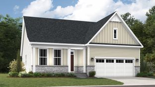 Lexington Basement - Harpers Mill - Executive Collection: Chesterfield, Virginia - Lennar