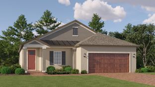 Splendor - New Port Corners Active Adult - The Manors: New Port Richey, Florida - Lennar