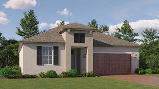 Dawning - New Port Corners Active Adult - The Manors: New Port Richey, Florida - Lennar