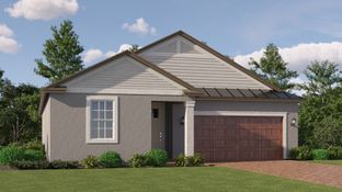 Dawning - New Port Corners Active Adult - The Manors: New Port Richey, Florida - Lennar