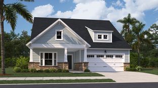 COLLINS - Horizons at Carnes Crossroads | 55+ - Legends Collection: Summerville, South Carolina - Lennar