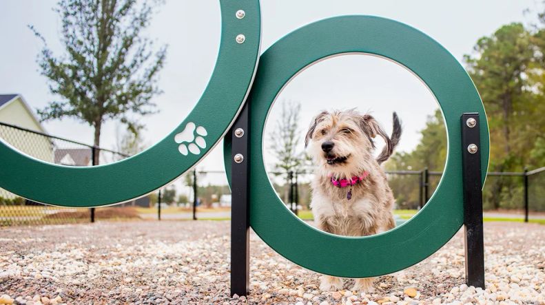 Carnes Crossroads Lifestyle Amenity Dog Park Dev 4 23 25