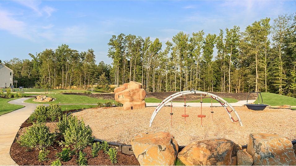 Watershed AA Amenity Refuge Cluhouse Playground 3of3