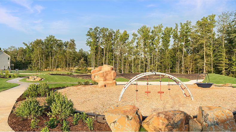 Watershed AA Amenity Refuge Cluhouse Playground 3of3