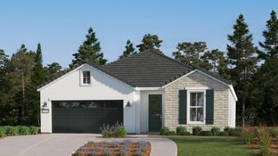 Papyrus - Juniper Hills - Calligraphy Series: Fresno, California - Lennar