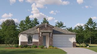 Brindley - Angeline - The Estates: Land O' Lakes, Florida - Lennar