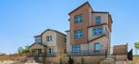 Midtown at Cadence - Midtown Accent - Henderson, NV