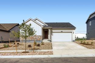 Hartford - Percheron - The Camden Collection: Colorado Springs, Colorado - Lennar
