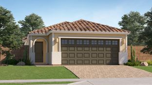 Lily Plan 2566 - Anderson Farms - Cottage: Maricopa, Arizona - Lennar