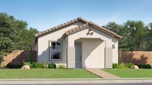 Wish Plan 2253 - Anderson Farms - Dream: Maricopa, Arizona - Lennar