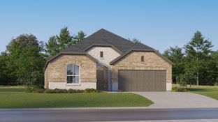 Nash - Shaded Tree - Classic Collection: McKinney, Texas - Lennar