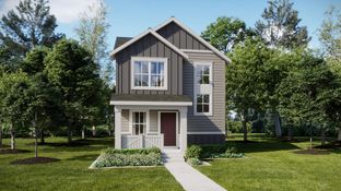 Navigator - Percheron - The Explorer Collection: Colorado Springs, Colorado - Lennar