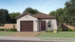 Western Garden - Cottage - Phoenix, AZ