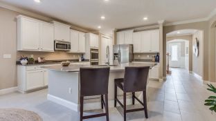 Kingsley III - Silver Meadows at SilverLeaf - Silver Meadows 60s: Saint Augustine, Florida - Lennar
