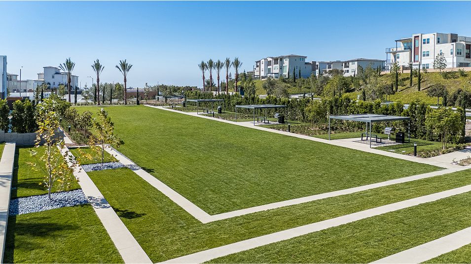 Metro Heights Aerial Park 1of2
